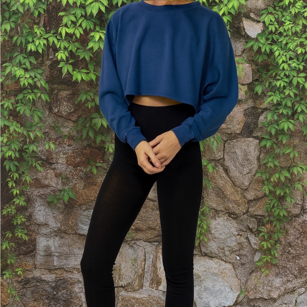 WEWOREWHAT Athleisure Loungewear French Terry Cropped Blue Sweatshirt, M